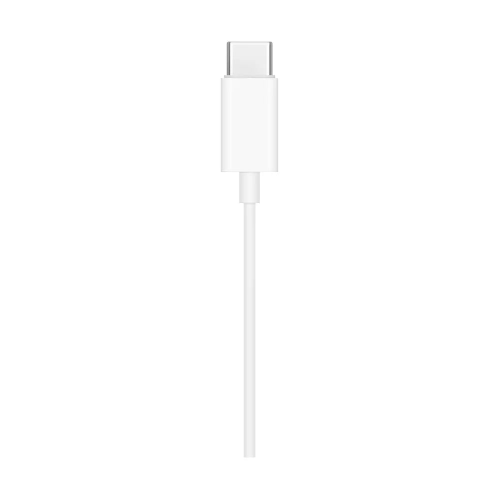 Wired USB-C Earbuds